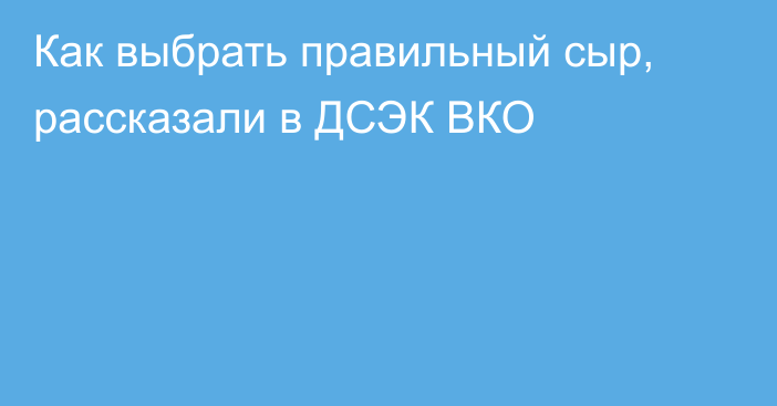 Как выбрать правильный сыр, рассказали в ДСЭК ВКО