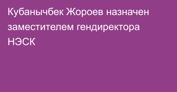 Кубанычбек Жороев назначен заместителем гендиректора НЭСК