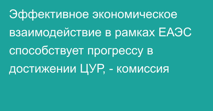 Эффективное экономическое взаимодействие в рамках ЕАЭС способствует прогрессу в достижении ЦУР, - комиссия