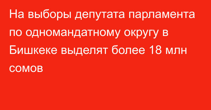 На выборы депутата парламента по одномандатному округу в Бишкеке выделят более 18 млн сомов