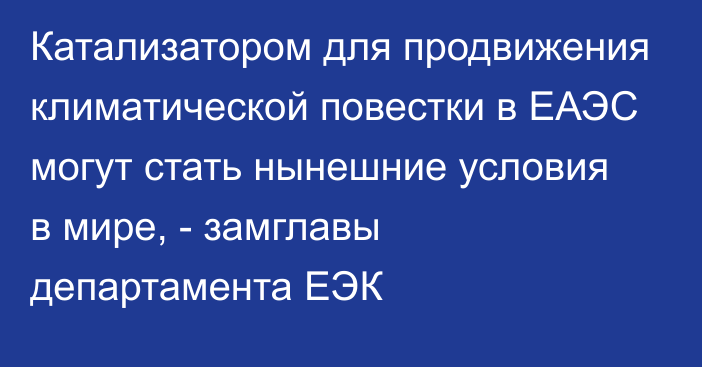 Катализатором для продвижения климатической повестки в ЕАЭС могут стать нынешние условия в мире, - замглавы департамента ЕЭК