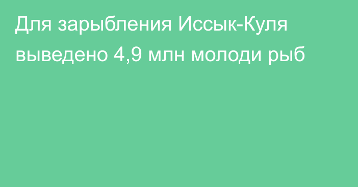 Для зарыбления  Иссык-Куля выведено 4,9 млн молоди рыб