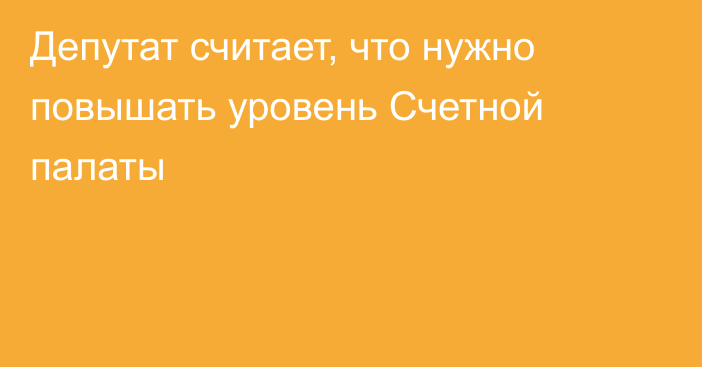 Депутат считает, что нужно повышать уровень Счетной палаты