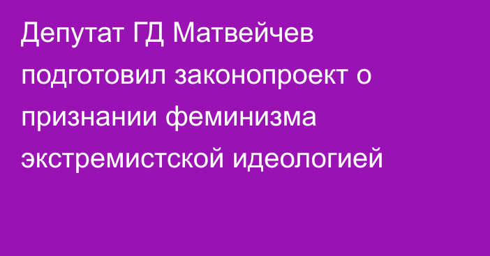 Депутат ГД Матвейчев подготовил законопроект о признании феминизма экстремистской идеологией