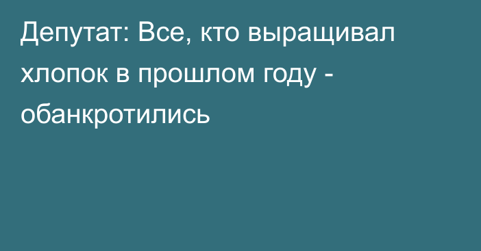 Депутат: Все, кто выращивал хлопок в прошлом году - обанкротились