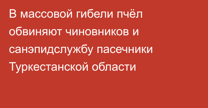 В массовой гибели пчёл обвиняют чиновников и санэпидслужбу пасечники Туркестанской области