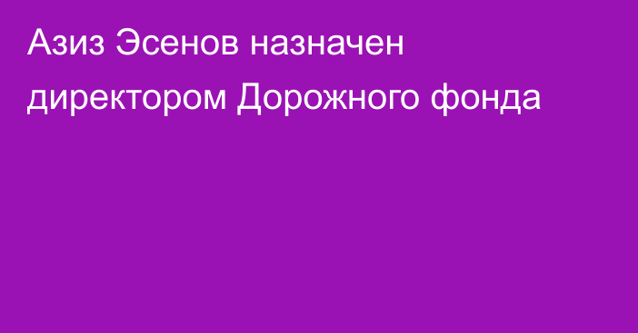 Азиз Эсенов назначен директором Дорожного фонда