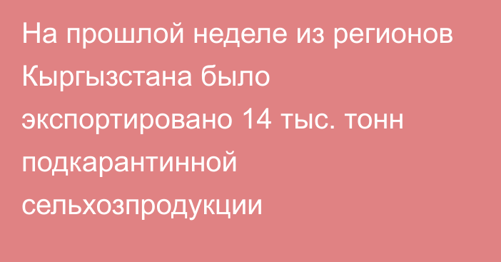 На прошлой неделе из регионов Кыргызстана было экспортировано 14 тыс. тонн подкарантинной сельхозпродукции