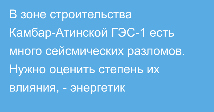 В зоне строительства Камбар-Атинской ГЭС-1 есть много сейсмических разломов. Нужно оценить степень их влияния, - энергетик