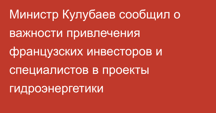 Министр Кулубаев сообщил о важности привлечения французских инвесторов и специалистов в проекты гидроэнергетики