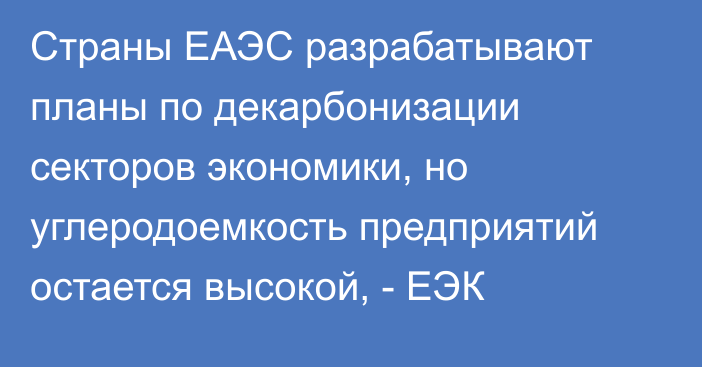 Страны ЕАЭС разрабатывают планы по декарбонизации секторов экономики, но углеродоемкость предприятий остается высокой, - ЕЭК