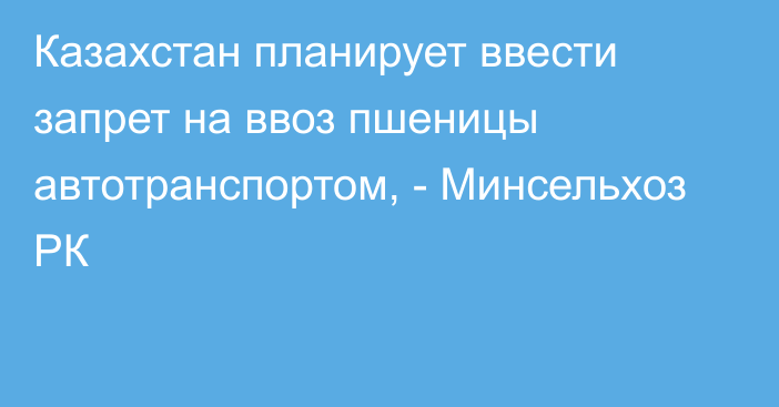 Казахстан планирует ввести запрет на ввоз пшеницы автотранспортом, - Минсельхоз РК