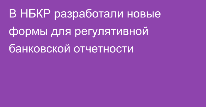 В НБКР разработали новые формы для регулятивной банковской отчетности