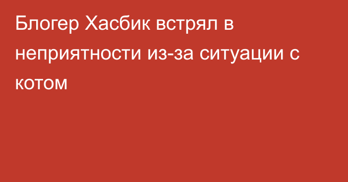 Блогер Хасбик встрял в неприятности из-за ситуации с котом