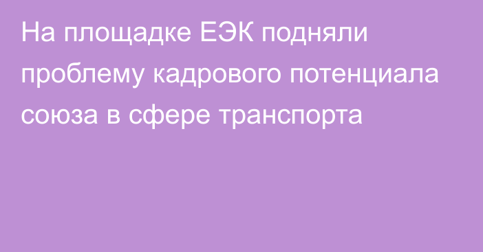 На площадке ЕЭК подняли проблему кадрового потенциала союза в сфере транспорта