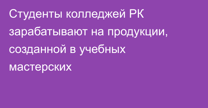 Студенты колледжей РК зарабатывают на продукции, созданной в учебных мастерских