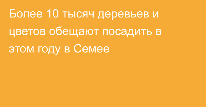 Более 10 тысяч деревьев и цветов обещают посадить в этом году в Семее