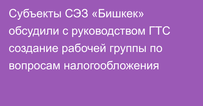 Субъекты СЭЗ «Бишкек» обсудили с руководством ГТС создание рабочей группы по вопросам налогообложения