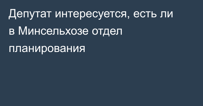 Депутат интересуется, есть ли в Минсельхозе отдел планирования