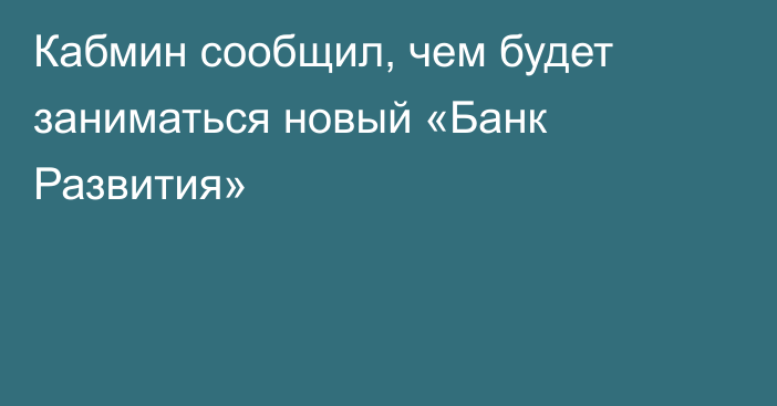 Кабмин сообщил, чем будет заниматься новый «Банк Развития»