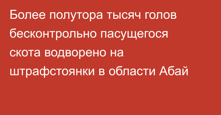 Более полутора тысяч голов бесконтрольно пасущегося скота водворено на штрафстоянки в области Абай