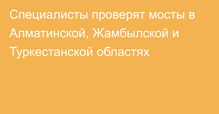 Специалисты проверят мосты в Алматинской, Жамбылской и Туркестанской областях