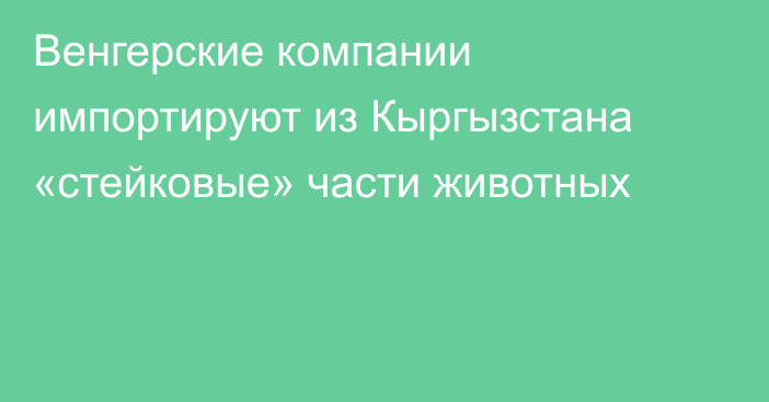 Венгерские компании импортируют из Кыргызстана «стейковые» части животных