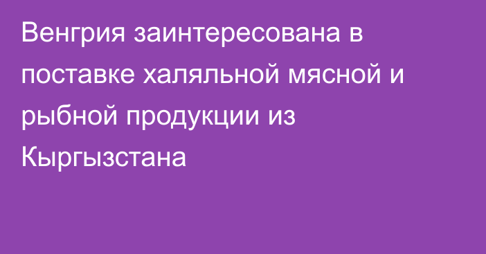 Венгрия заинтересована в поставке халяльной мясной и рыбной продукции из Кыргызстана