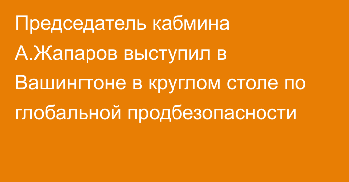 Председатель кабмина А.Жапаров выступил в Вашингтоне в круглом столе по глобальной продбезопасности