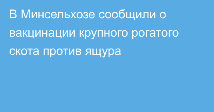 В Минсельхозе сообщили о вакцинации крупного рогатого скота против ящура