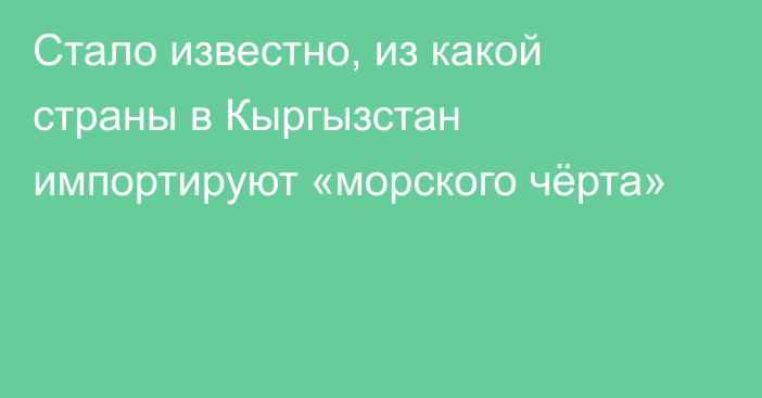 Стало известно, из какой страны в Кыргызстан импортируют «морского чёрта»