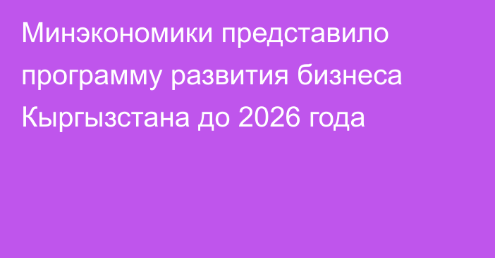 Минэкономики представило программу развития бизнеса Кыргызстана до 2026 года 