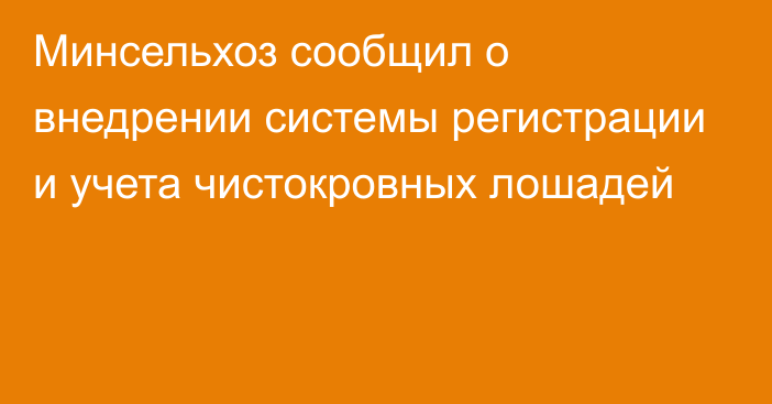 Минсельхоз сообщил о внедрении системы регистрации и учета чистокровных лошадей