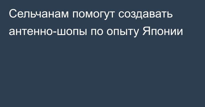 Сельчанам помогут создавать антенно-шопы по опыту Японии