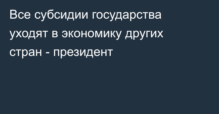 Все субсидии государства уходят в экономику других стран - президент