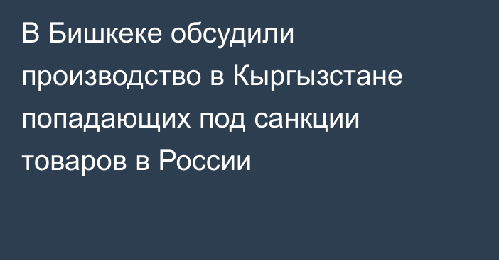 В Бишкеке обсудили производство в Кыргызстане попадающих под санкции товаров в России