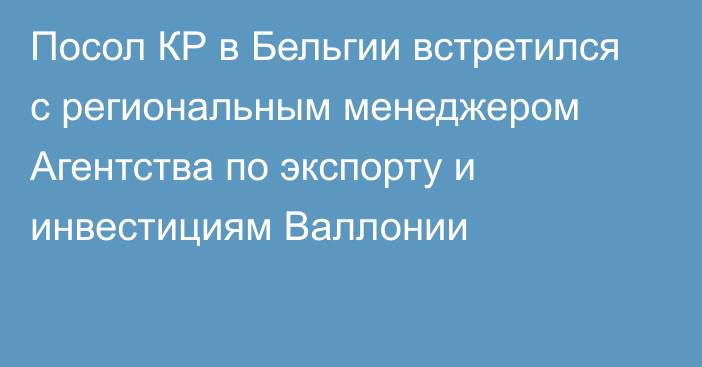 Посол КР в Бельгии  встретился с региональным менеджером Агентства по экспорту и инвестициям Валлонии