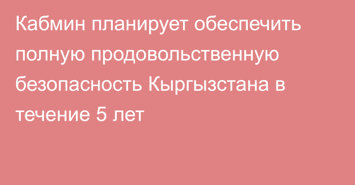 Кабмин планирует обеспечить полную продовольственную безопасность Кыргызстана в течение 5 лет