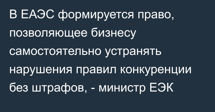 В ЕАЭС формируется право, позволяющее бизнесу самостоятельно устранять нарушения правил конкуренции без штрафов, - министр ЕЭК