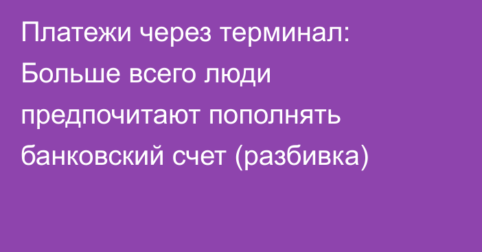 Платежи через терминал: Больше всего люди предпочитают пополнять банковский счет (разбивка)