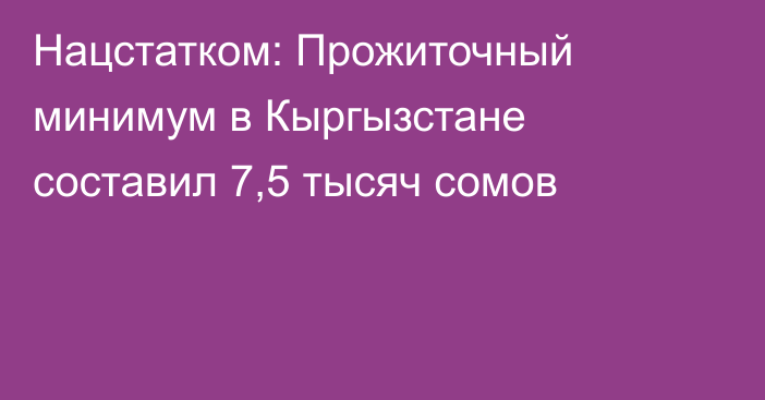 Нацстатком: Прожиточный минимум в Кыргызстане составил 7,5 тысяч сомов