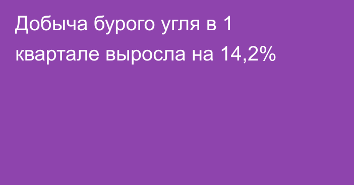 Добыча бурого угля в 1 квартале выросла на 14,2%