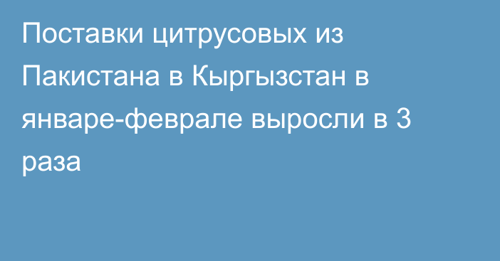 Поставки цитрусовых из Пакистана в Кыргызстан в январе-феврале выросли в 3 раза