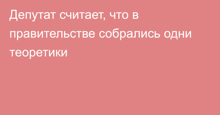 Депутат считает, что в правительстве собрались одни теоретики