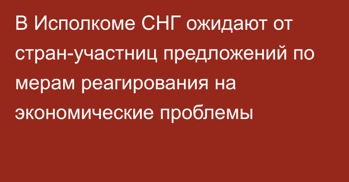 В Исполкоме СНГ ожидают от стран-участниц предложений по мерам реагирования на экономические проблемы 