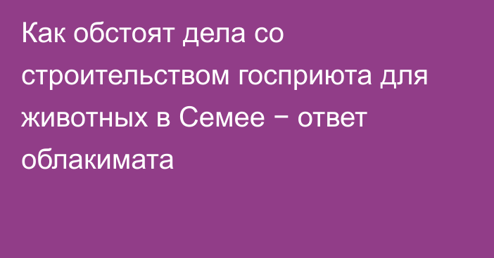 Как обстоят дела со строительством госприюта для животных в Семее − ответ облакимата