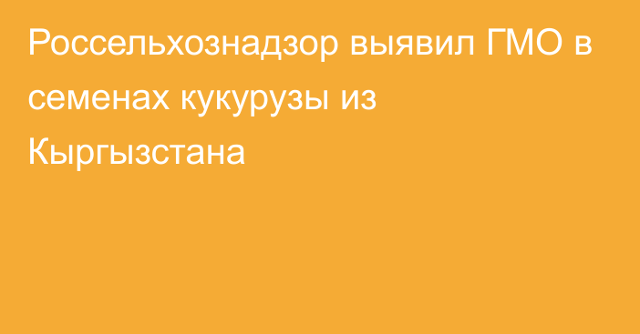 Россельхознадзор выявил ГМО в семенах кукурузы из Кыргызстана