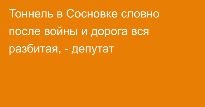 Тоннель в Сосновке словно после войны и дорога вся разбитая, - депутат