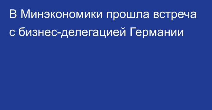 В Минэкономики прошла встреча с бизнес-делегацией Германии