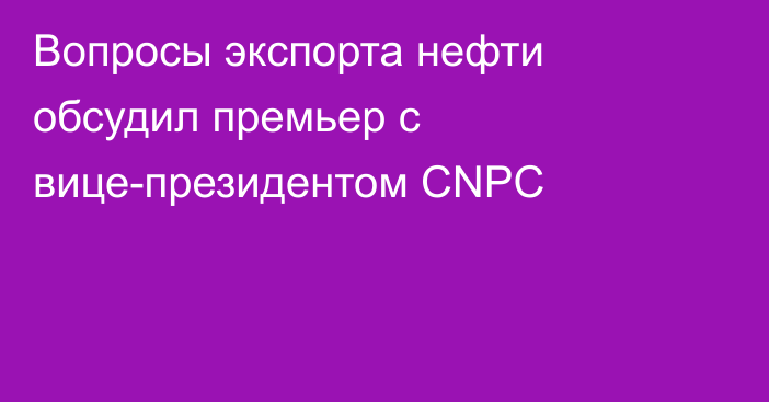 Вопросы экспорта нефти обсудил премьер с вице-президентом CNPC